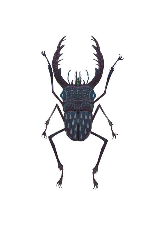 Stag beetle - A4 giclee print