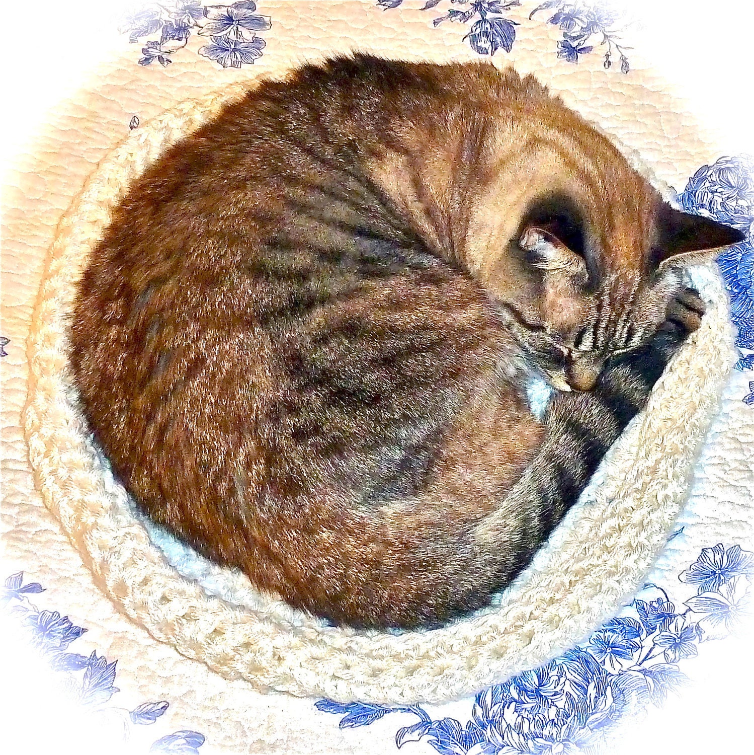 White Shabby Chic Cottage Comfortable Round Pet Bed