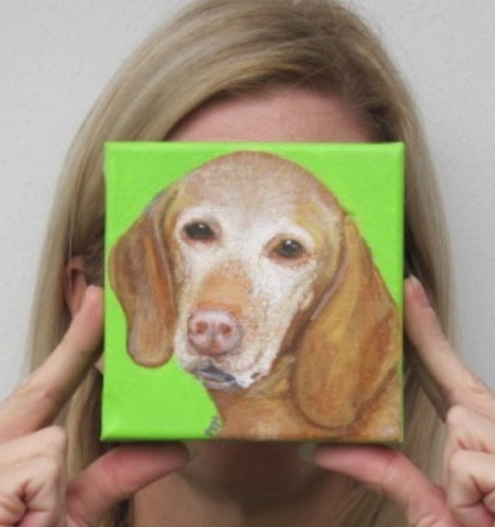 Custom Dog Portraits Dog paintings Dog portrait Pop art painting Dog art Pet portrait Dog portraits on etsy