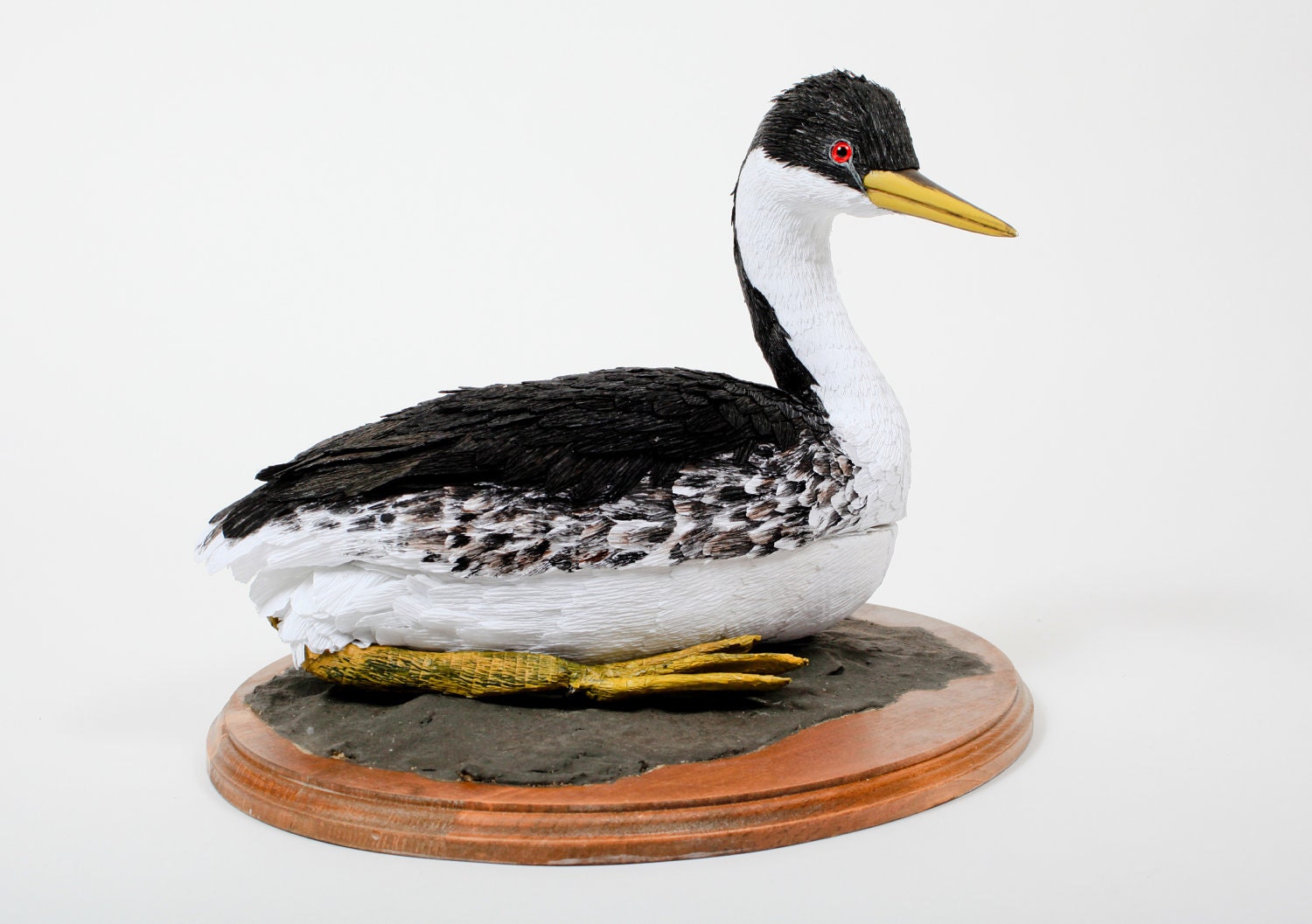 Western Grebe    --Aechmophorus occidentalis  2010   (Bird contains hidden box)