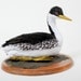 Western Grebe    --Aechmophorus occidentalis  2010   (Bird contains hidden box)