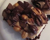 Rocky Road to Peanut Butter Goodness Brownies