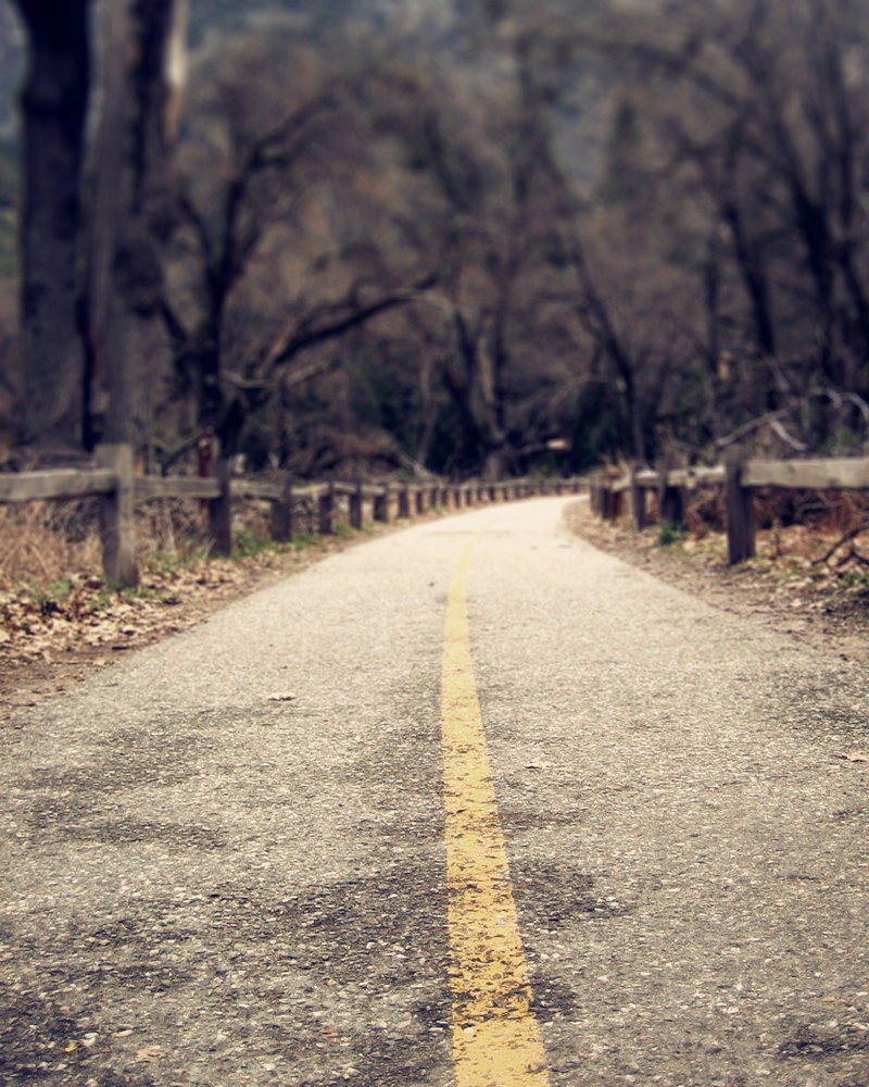 8x10 - Backwoods - Modern Rustic Home Decor, Woodland Forest Photo Print, Lonely Road, Yosemite Landscape, Autumn Fall