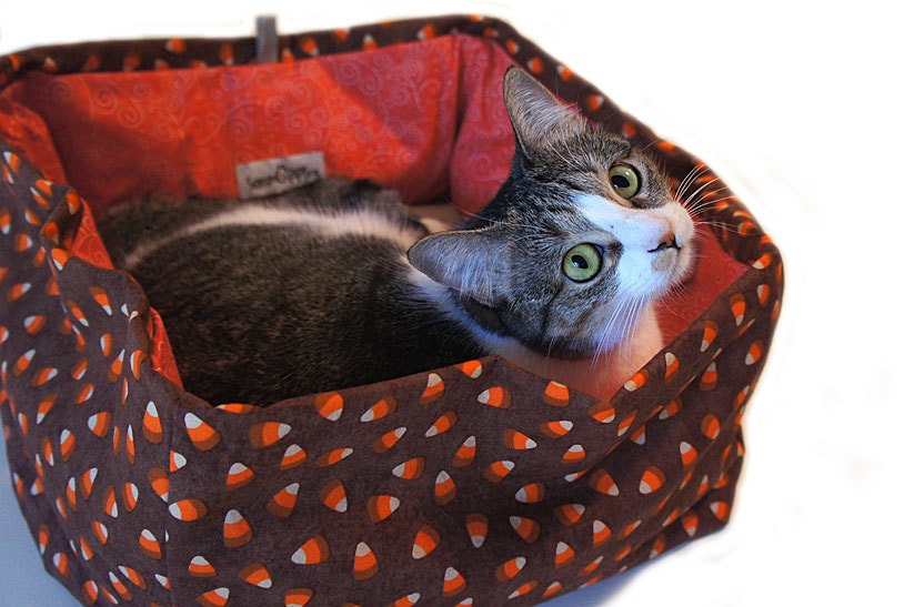 Candy Corn Pet Bed