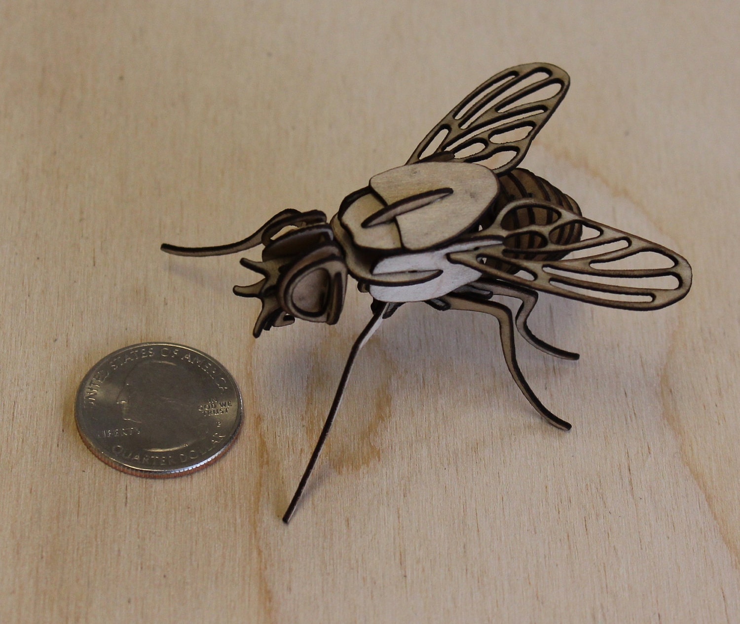 Wooden Housefly Kit
