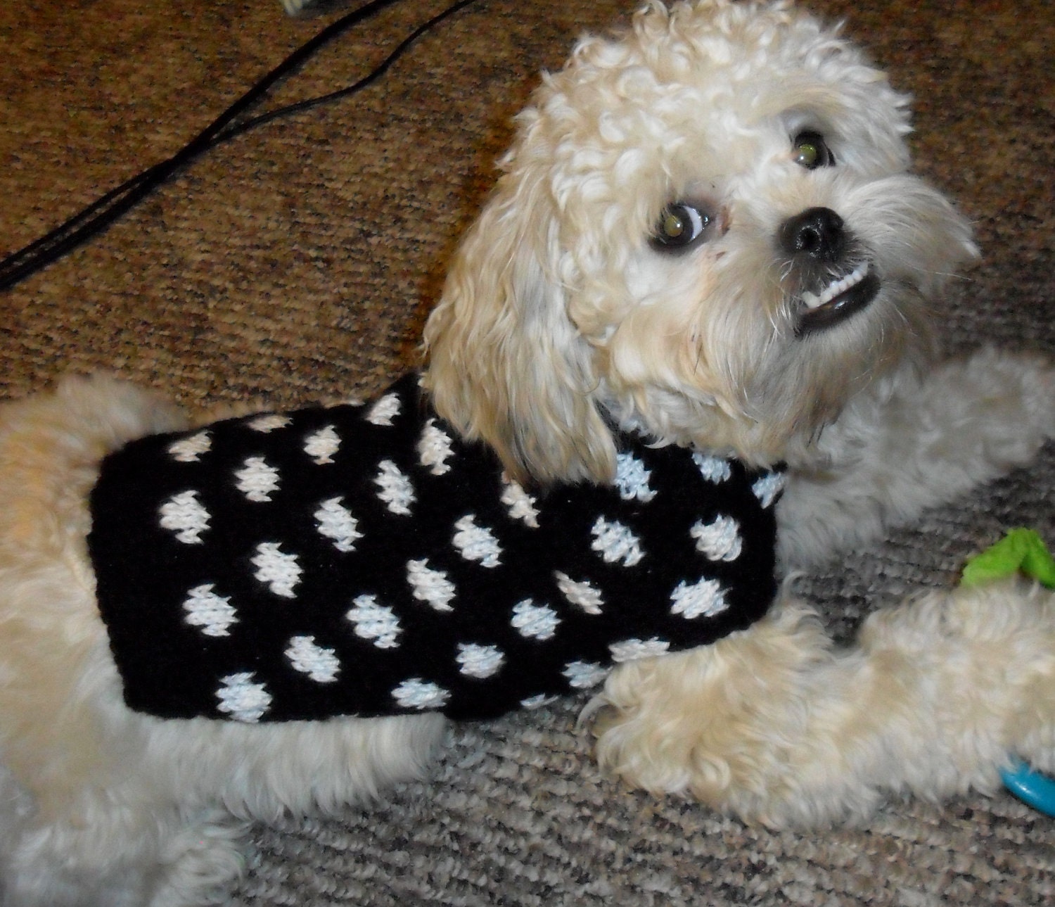 Small Dog Sweater - Black and White Polka Dot