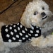 Small Dog Sweater - Black and White Polka Dot