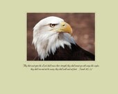 eagle print with scripture from Isaiah (11x14)