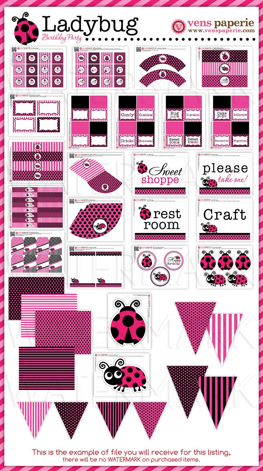 Pink LadyBug Birthday Party Package Personalized FULL Collection Set - PRINTABLE DIY - PS815CA2x