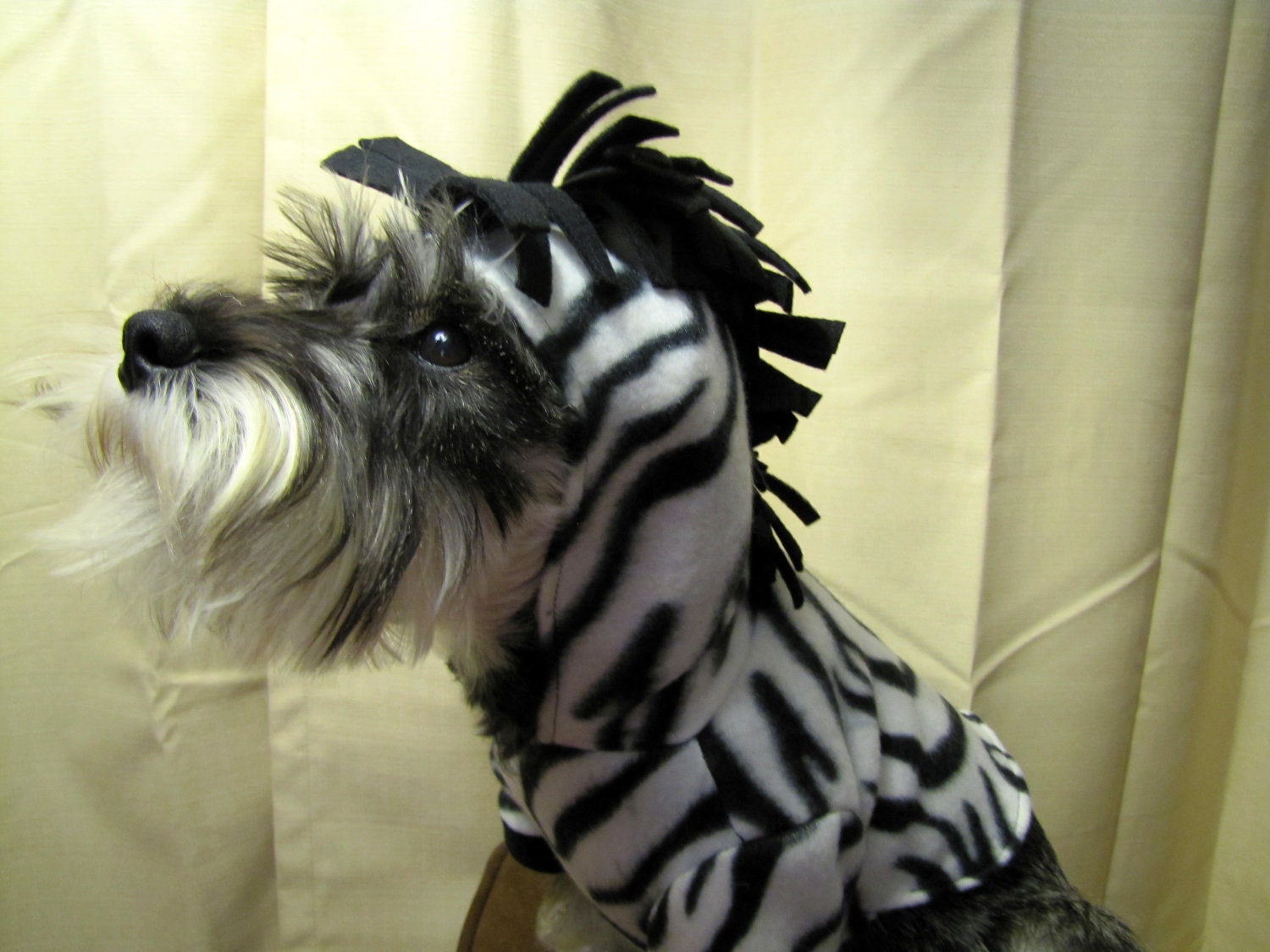 Custom Dog Fleece Zebra Costume