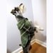 Plaid Luck O The Irish Green and Brown Reversible Dog Coat Fleece