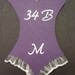 Bachelorette Party/Lingerie Shower Invitation Inserts