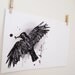 Blackbird Illustration Print - black and white bird drawing A3, 16.5" x 11.7" Art Print