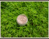 Vegan Blush - Tanned Coral