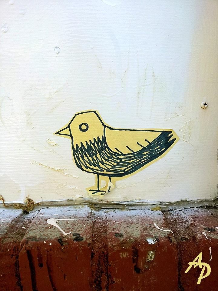 TREASURY FEATURED - Free as A Bird - Little Yellow Bird on a Red Brick Wall 8x10 Fine Art Photograph