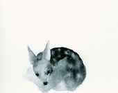 Fine Art Print from Original Watercolor - Tiny Sleeping Ghost Fawn