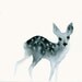 Fawn Artwork - Fine Art Print from Original Watercolor