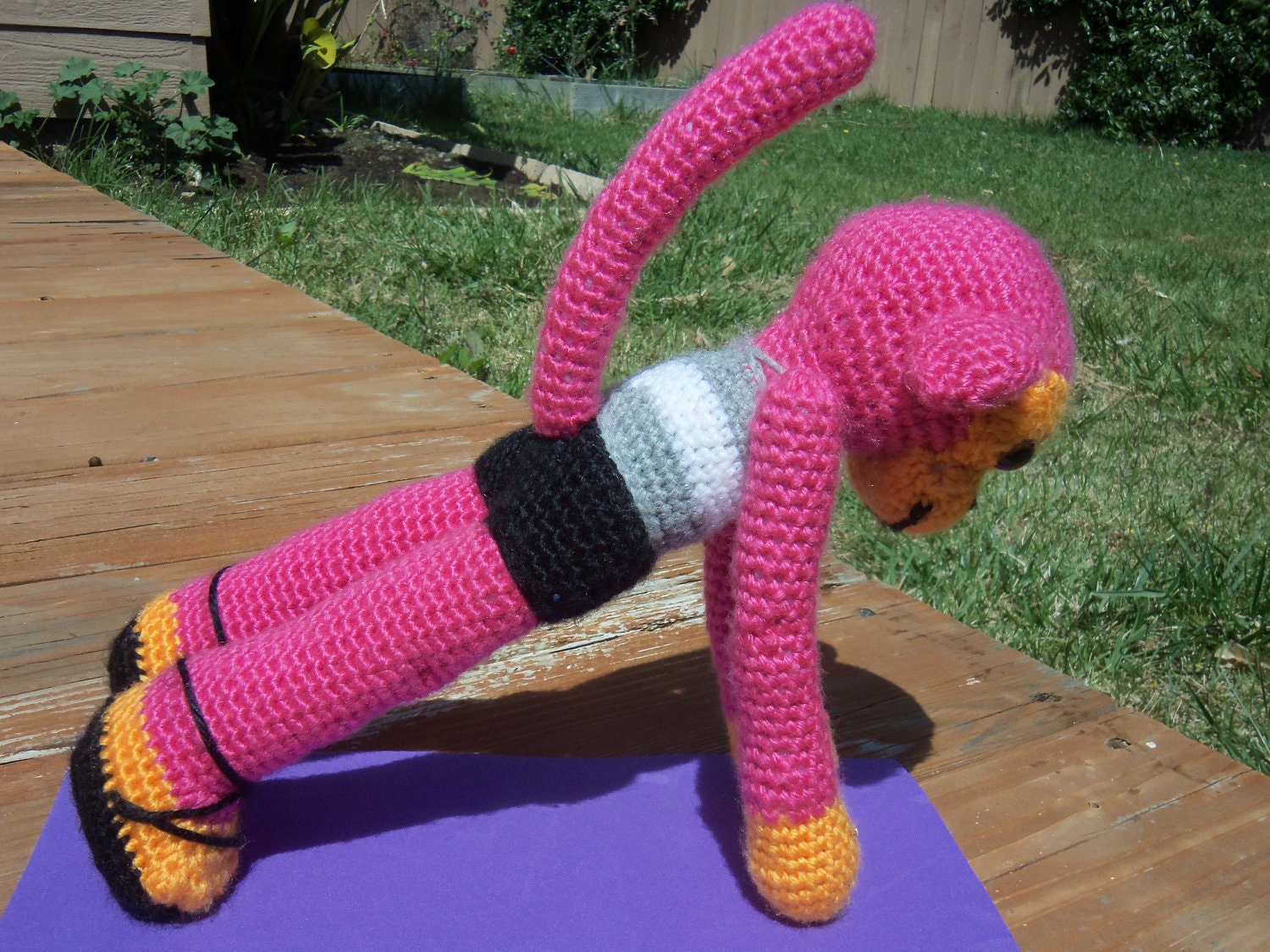 Hana the Monkey loves Yoga