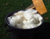 5 oz. Coopworth Fleece All Natural Washed "On the Farm" Wool Eco-Friendly Homegrown