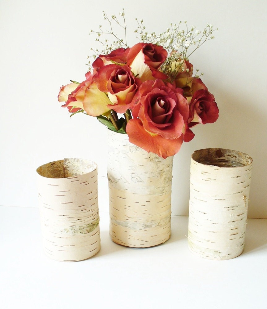 Birch Bark Vase Rustic Country Cottage Farmhouse Woodland Natural Wedding Table Setting Set of 3