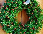 Spring/Summer Boxwood Wreath-Spring Door Wreath-Front Door Wreath-Outdoor Wreath-ORANGE BERRY Boxwood Door Wreath-Spring Decor
