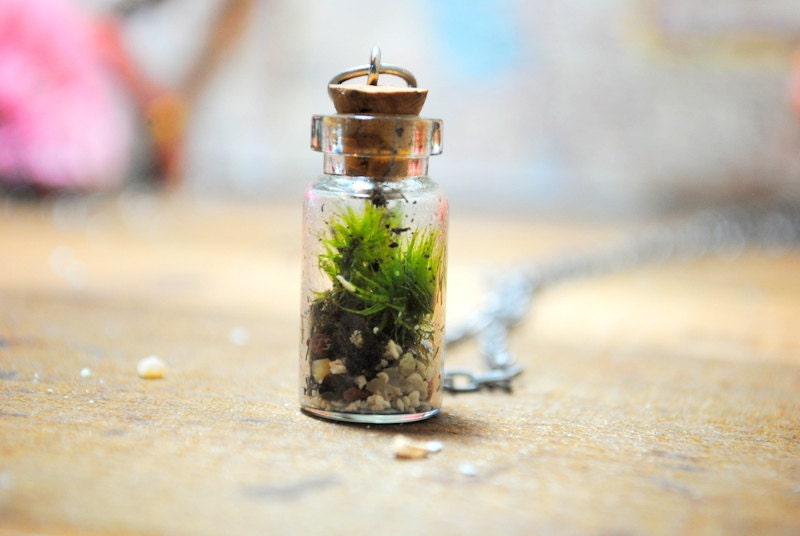 The Tiny Terrarium Necklace with live kentucky moss