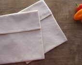 Reusable Snack Sandwich Bag -- Organic Unbleached Muslin -- Set of 2 Eco Friendly