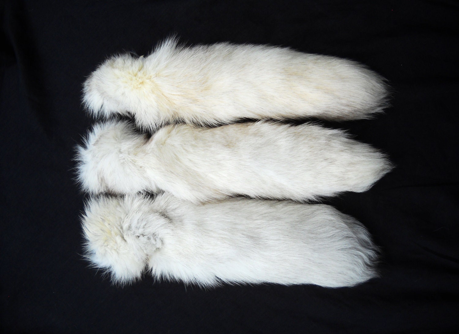 17"-20" White "Blue" Fox Tail Real Furry Fur Keychain Key Ring Ornament for Purse, Anime Costume, Etc