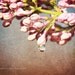 Nursery Art Raindrops on Pretty Pink Spring Blossom Lilacs Summer Flowers  8x10 - Fine Art Photography, Wall Decor