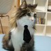 Pet Dog Cat Collar ACCESSORY Black Necktie