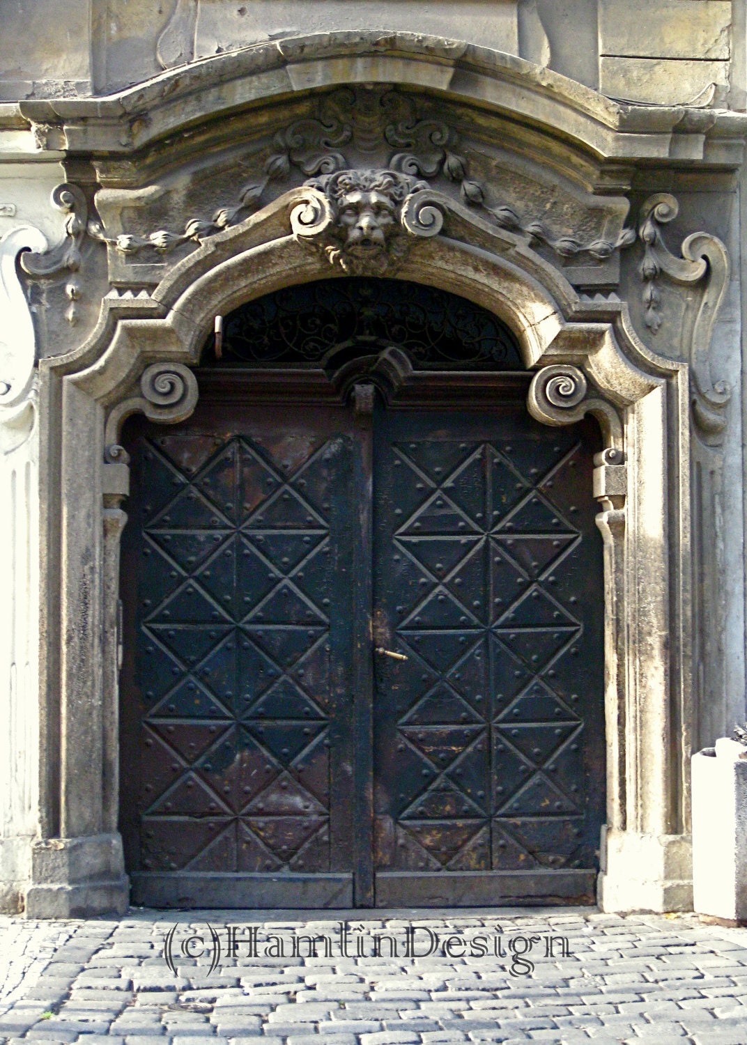 Prague Door Photo Collection - Old Door Texture Lion Stone 13cm x 18cm (5in x 7in)unframed