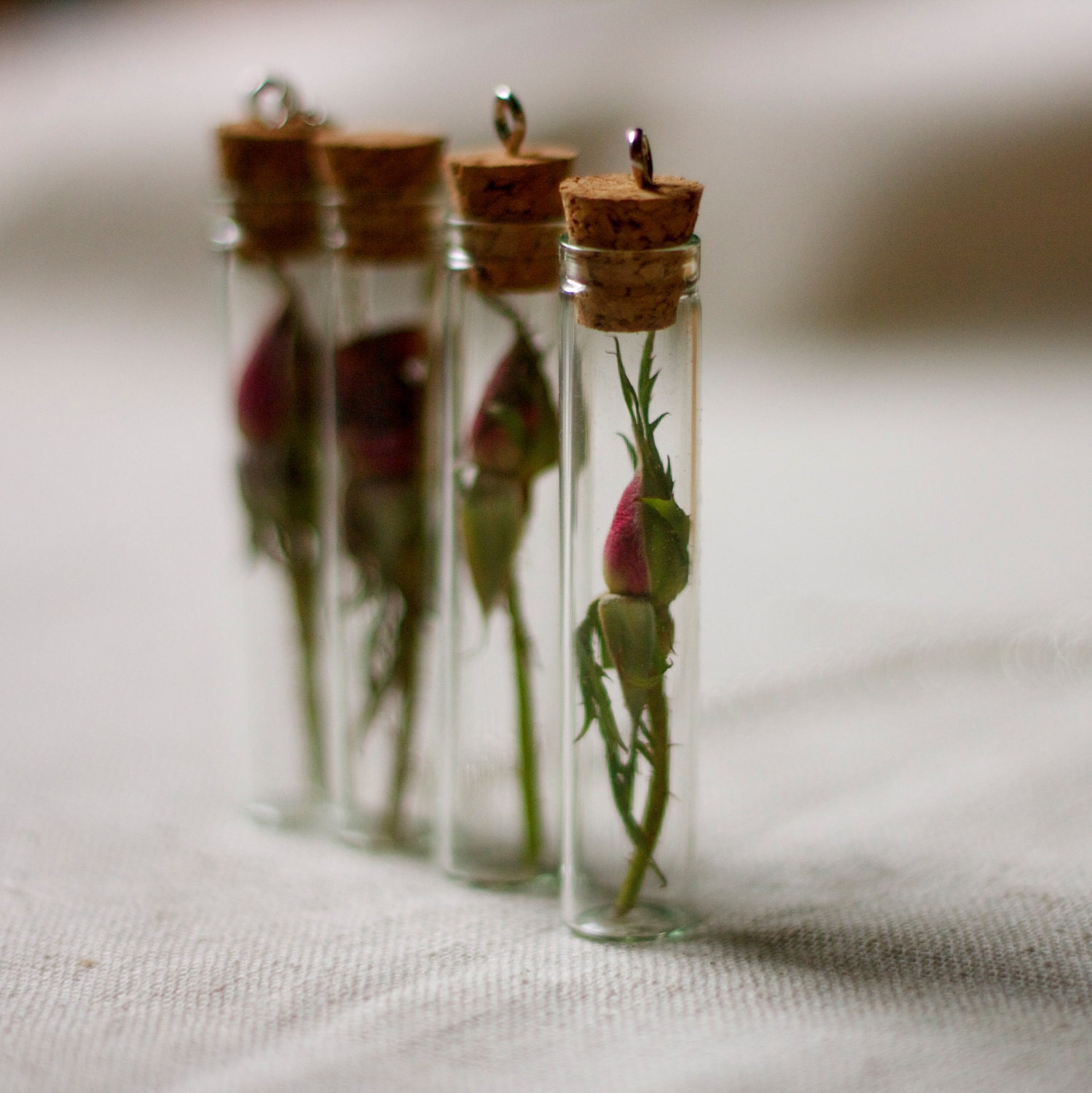 botanical vial necklace preserved specimen corked top romantic rosebud. beauty and the beast