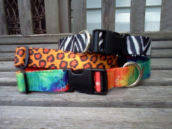 Dog Collar: Adjustable 1 inch wide, Jaguar