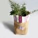 Kitchen storage basket - gift - pink to violet stripes - home decor - for her