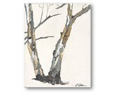 Tree art Canvas Print - 1 in a set of 4 - eucalyptus trunks charcoal gray bark art print neutral white brown green blue gift wall decor