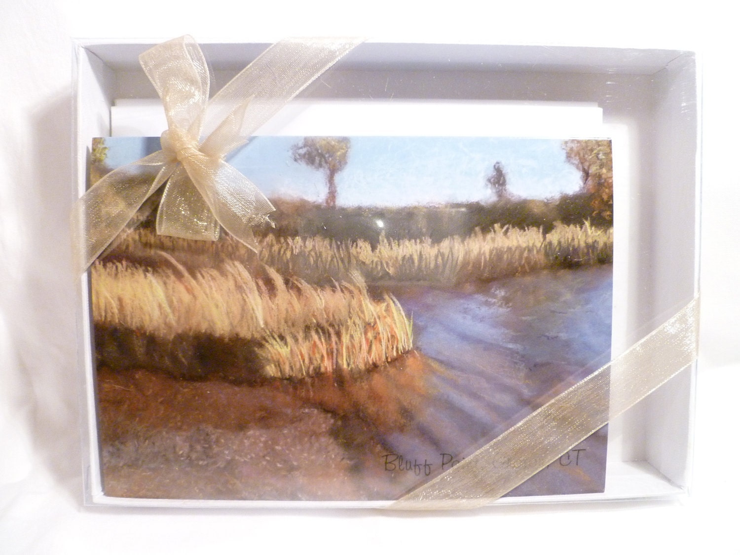 Beach and Marsh Notecard Giftbox - Fine art reproduction (set of 4)
