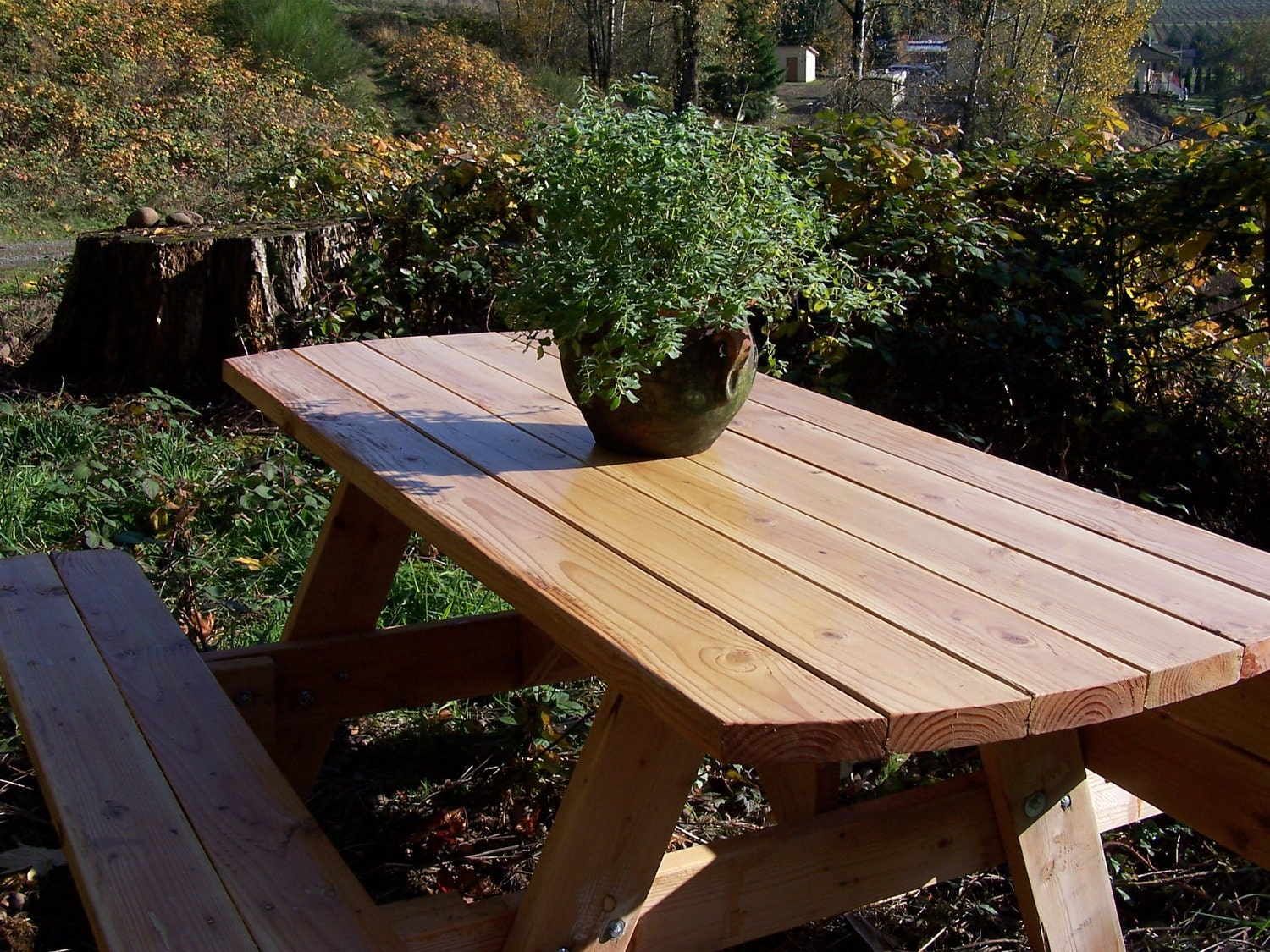 Picnic Table with Folding Benches