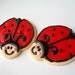 Lady Bug Iced Sugar Cookie Cut Outs Red Ladybug Party