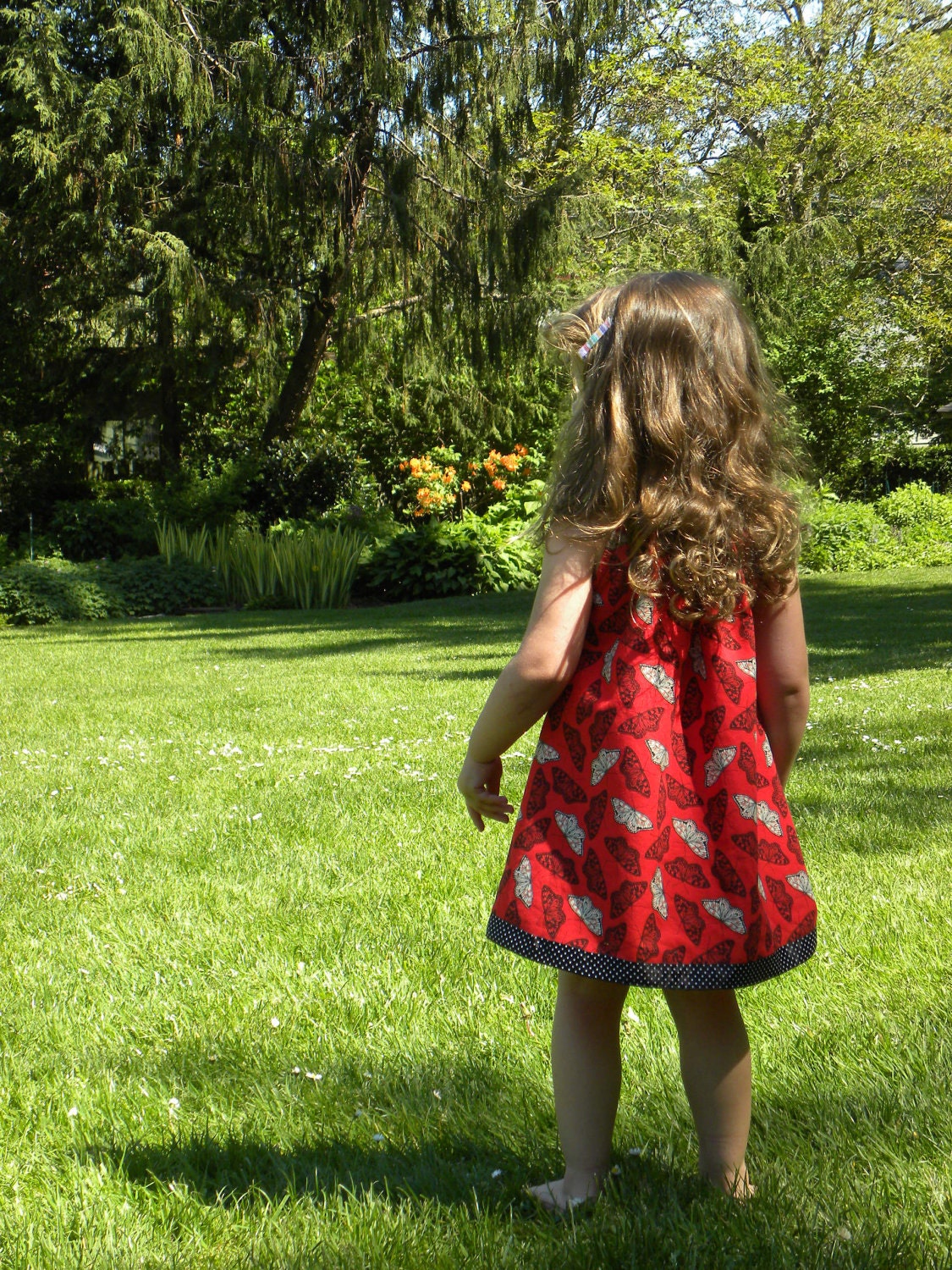 The Butterfly Dress  (18 - 24 months)