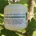 2 oz Anti-aging body cream " Lotus" with Lotus plant extract ORGANIC