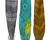 Feather Art - Watercolor Painting - Large Archival Print - 11x14 Driftwood Feathers