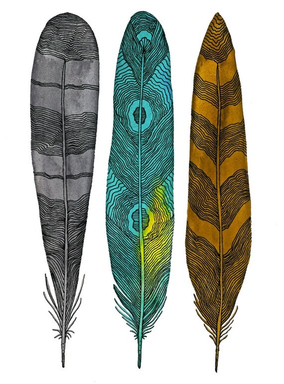 Feather Art - Watercolor Painting - Large Archival Print - 11x14 Driftwood Feathers