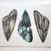Wings Painting - Butterfly, Moth Watercolor Art Print - Archival Fine Art Print