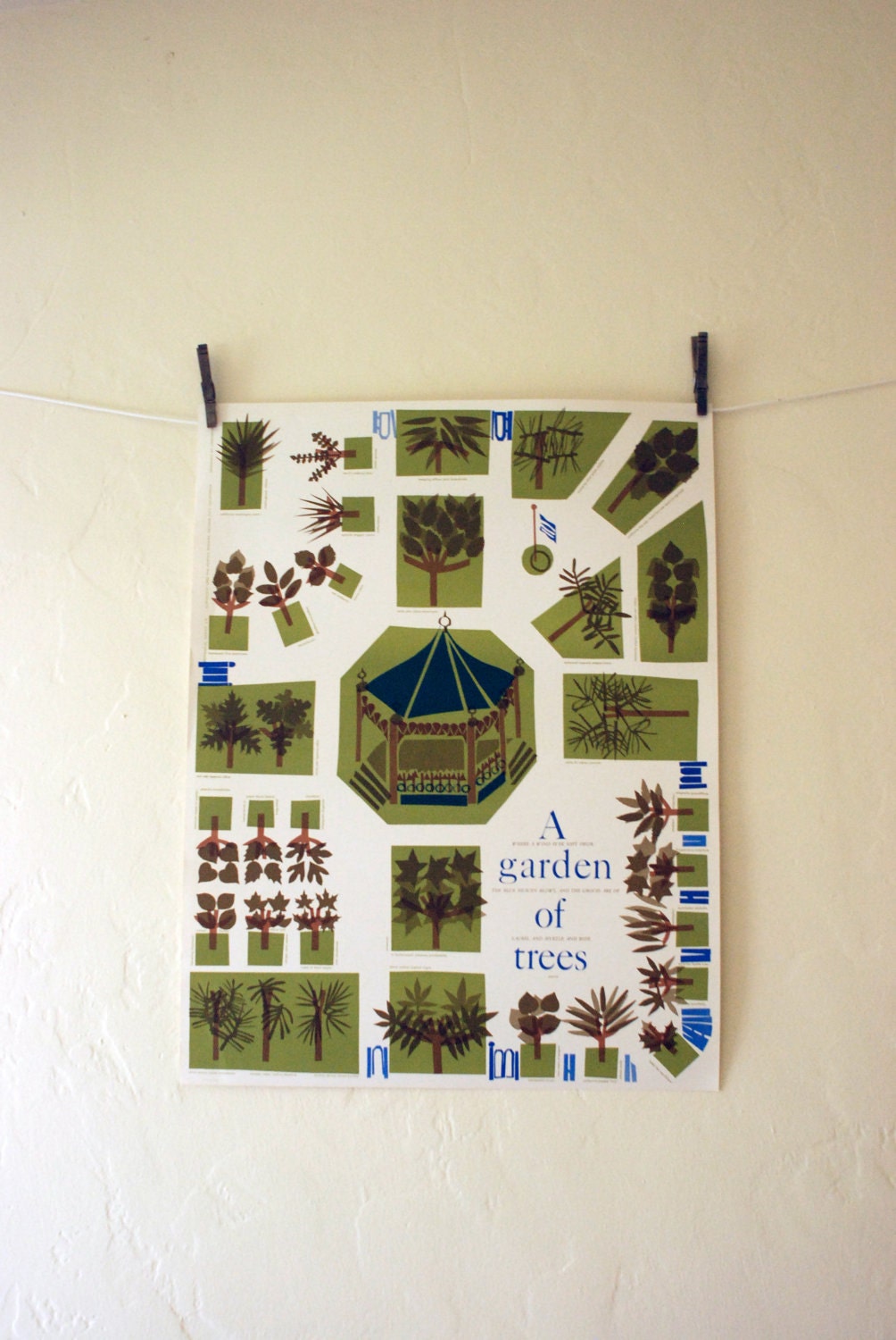 A Garden of Trees - part of the Botanical Series, Vintage 1963 poster by Osborn Woods