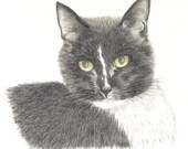 Custom Pet Portraits from your favorite photograph