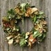 Natural Wreath - Orange Blossom - with Osage Orange, Oats, Vine Maple, Millet, Rose Campion, Pom Pon, Lemon leaf, and Laurel