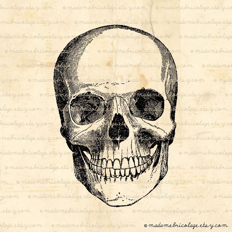 INSTANT DOWNLOAD Human Skull, Digital Image Download for Iron on Transfer Papercrafts Pillows T-Shirts Tote Bags Burlap No 00904