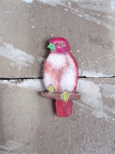 Tropical Bird Brooch