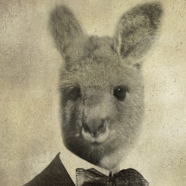 Sir Laughsalot - Vintage Kangaroo 5x7 Print - Anthropomorphic - Altered Photograph - Collage Art - Sepia - Funny Animal Print - 5x7 Print