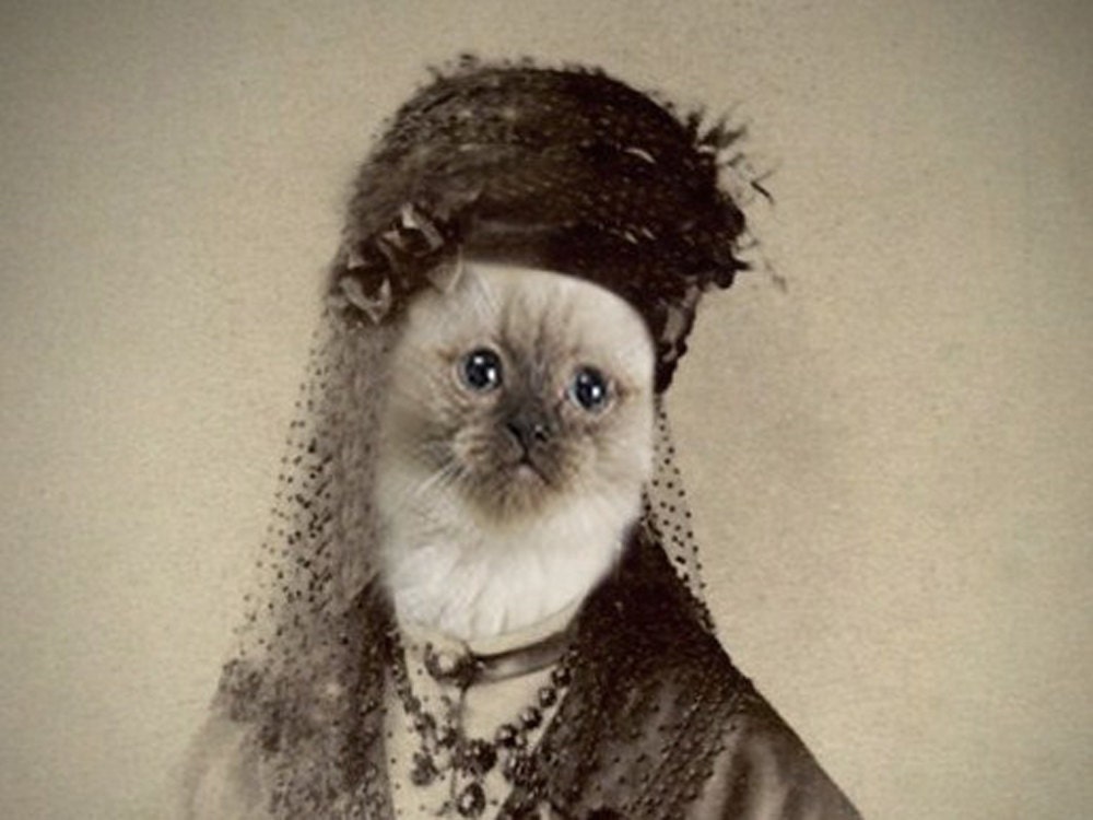 Anna - Vintage Animal 5x7 Print - Cat Photo - Athropomorphic - Altered Photo - Collage Art - Funny Animal - 5x7 Print